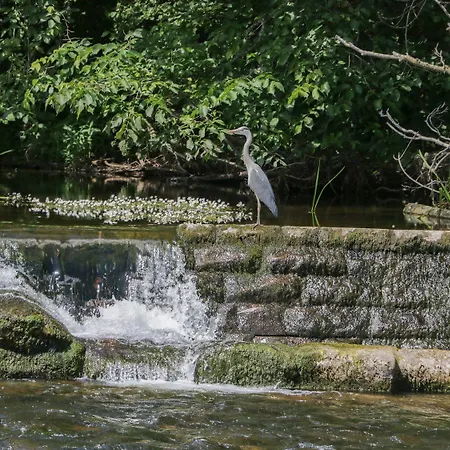 Дом отдыха The Jubilee Roost At Eamont Park